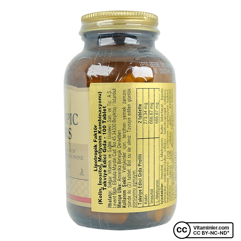 Solgar Lipotropic Factors 100 Tablet - B Vitaminleri