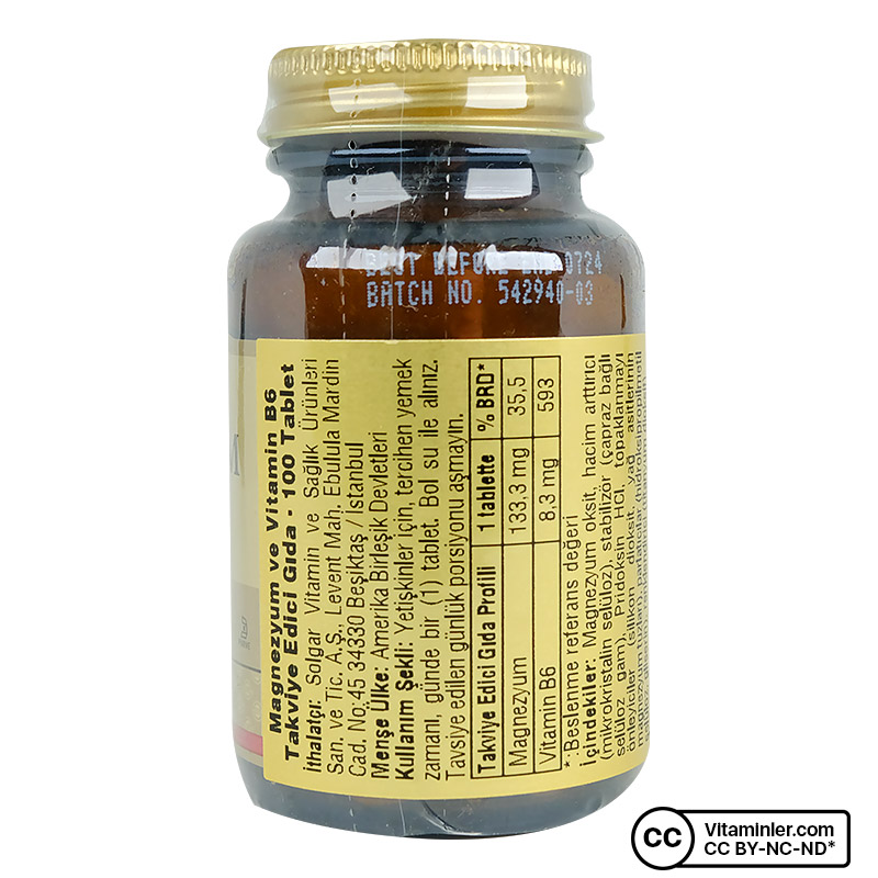 Solgar Magnesium with Vitamin B6 100 Tablet | Vitaminler
