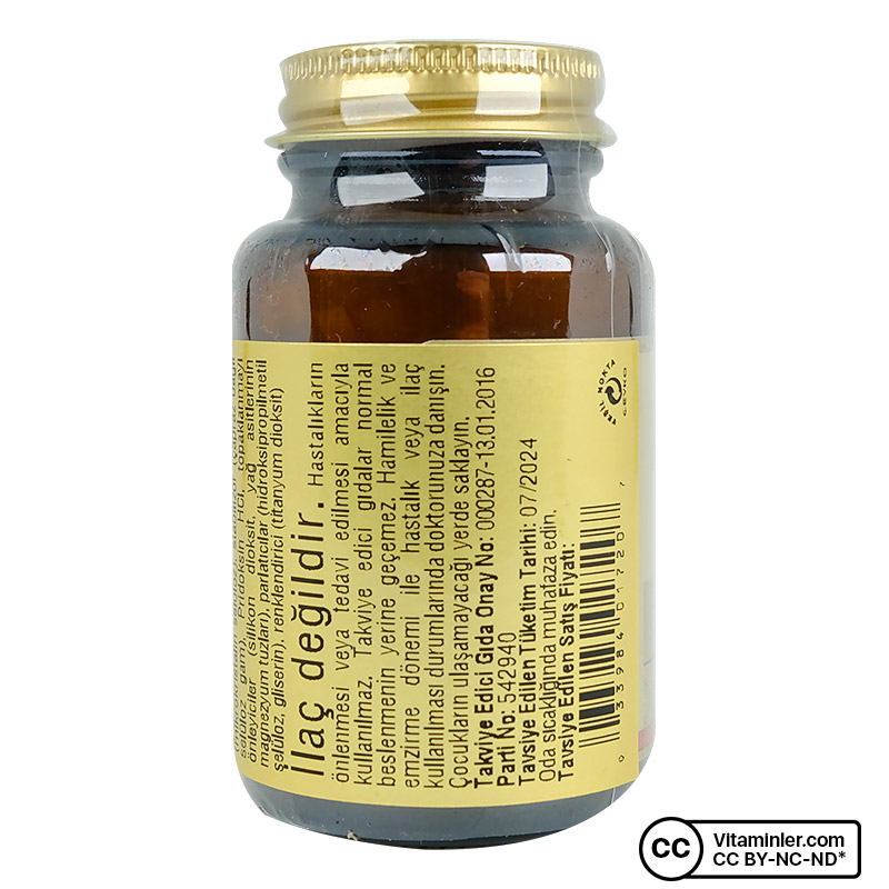 Solgar Magnesium with Vitamin B6 100 Tablet | Vitaminler